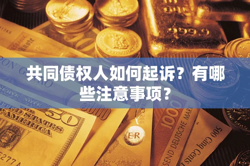 北京共同债权人如何起诉？有哪些注意事项？